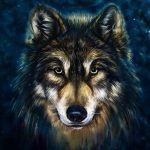 Meet your Posher, Dan